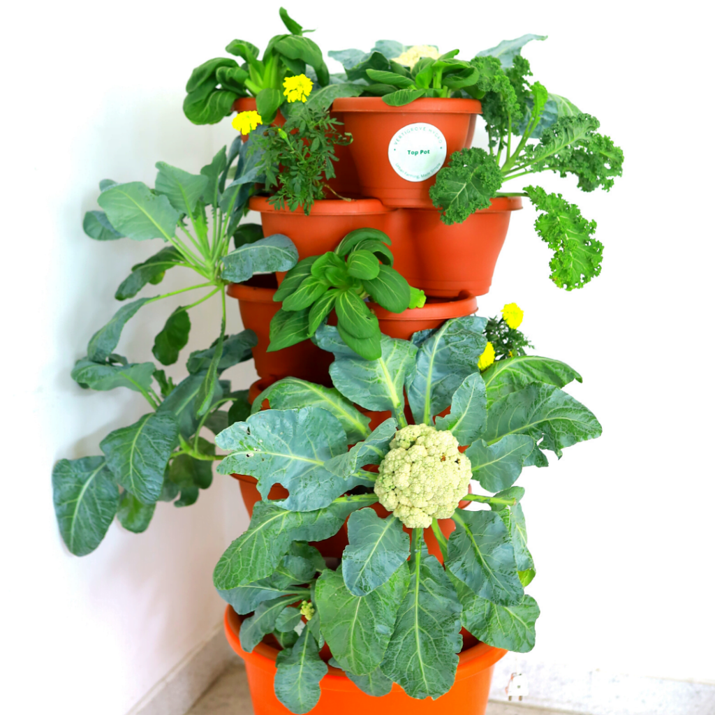 Vertical Hydroponic System